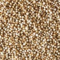 Müsli.de - Zutat: Amaranth Poppies