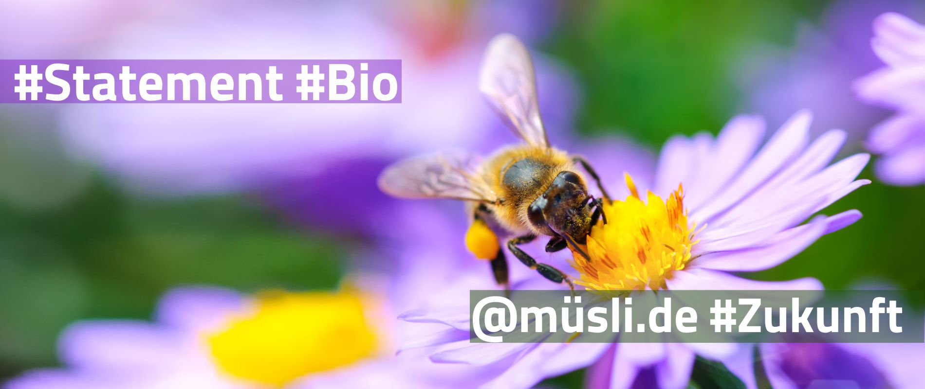 Bio Statement | müsli.de